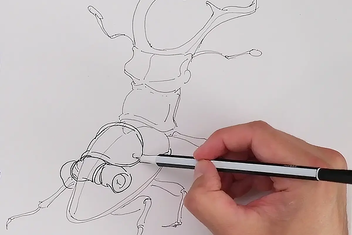 Vamos deixá-los loucos!