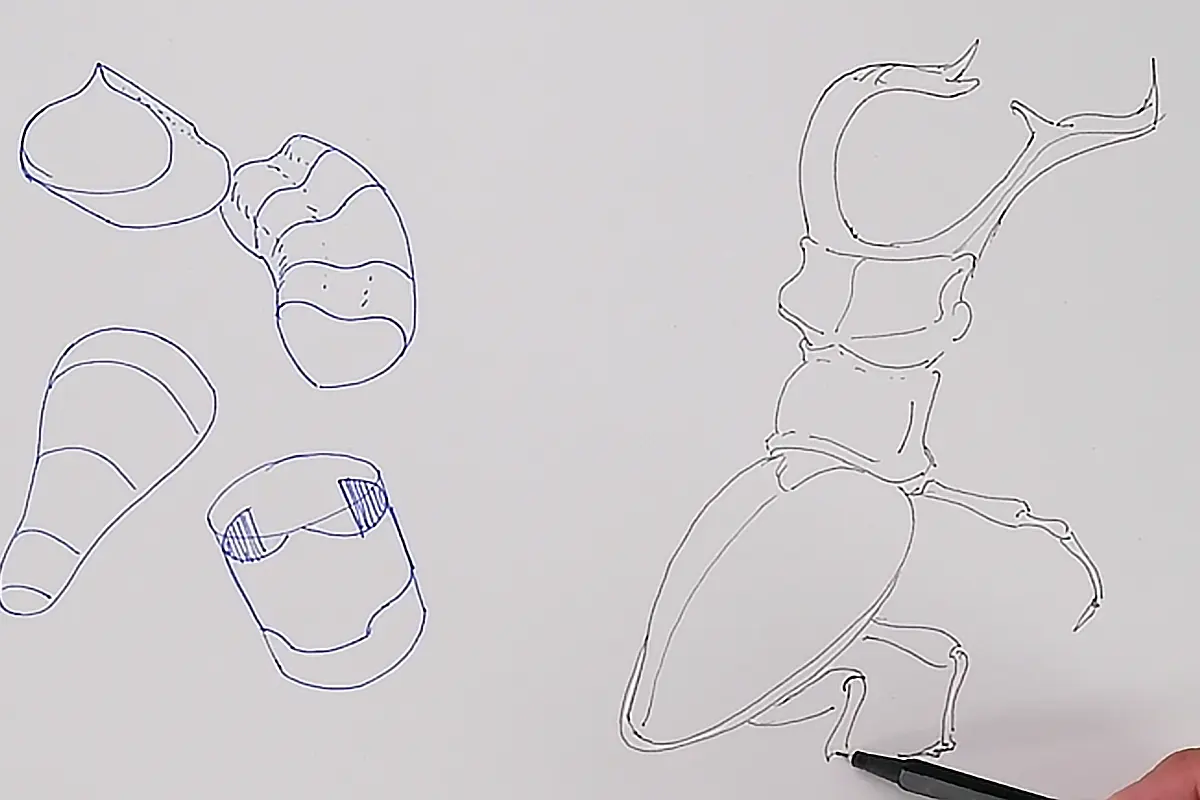 Uau! Veja, eu estou aplicando essas formas manipuladas!